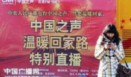 中国之声在线观看直播,实时掌握最新资讯，一键开启视听盛宴