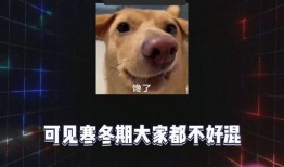 娱乐八卦开心吃瓜图片,开心吃瓜，笑翻你的周末时光！