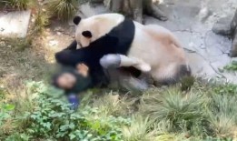 熊猫头狗仔导演爆料视频,独家爆料幕后花絮